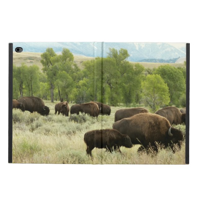 Wyoming Bison Nature Animal Photography Powis iPad Air 2 Case (Outside)