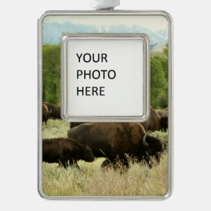 Wyoming Bison Nature Animal Photography Silver Plated Framed Ornament