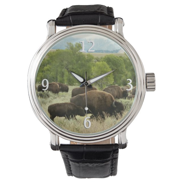 Wyoming Bison Nature Animal Photography Watch (Front)