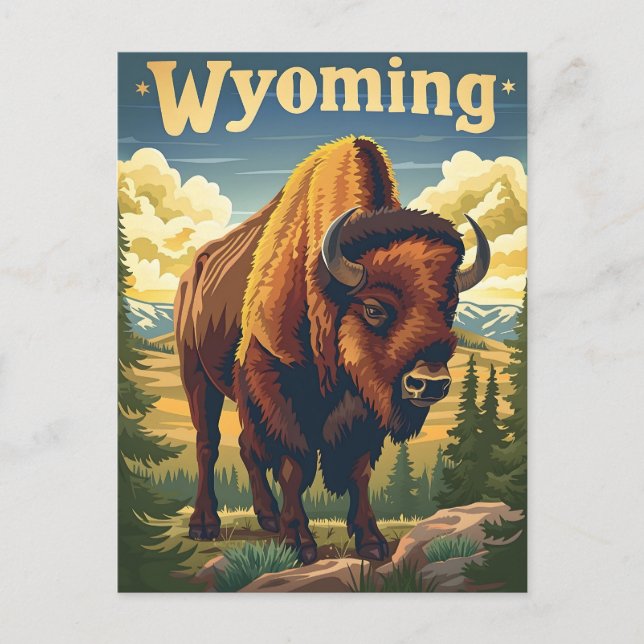 Wyoming Bison Postcard (Front)