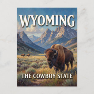 Wyoming Bison Western Travel Postcard
