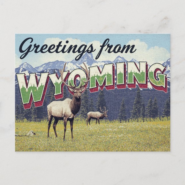 Wyoming Elk Grand Teton Mountains Postcard (Front)
