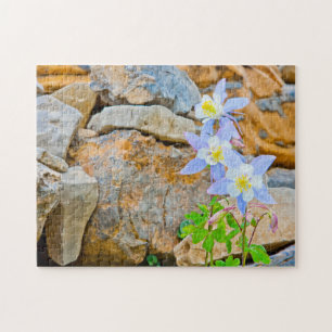 Wyoming, Grand Teton National Park 1 Jigsaw Puzzle