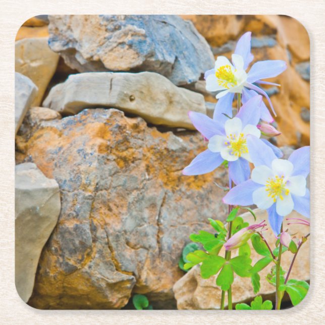 Wyoming, Grand Teton National Park 1 Square Paper Coaster (Front)