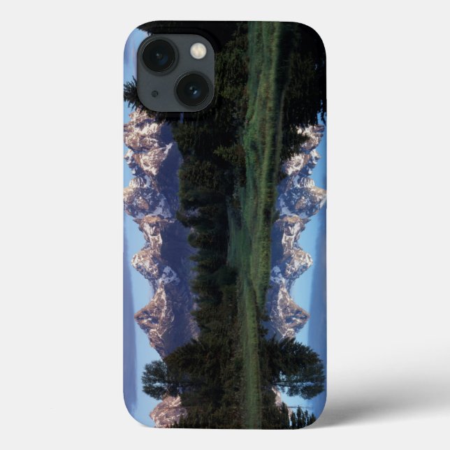 Wyoming, Grand Teton National Park 4 Case-Mate iPhone Case (Back)