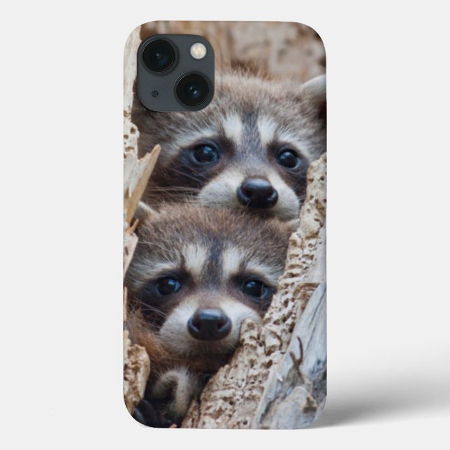 Wyoming, Lincoln County, Racoon Case-Mate iPhone Case (Back)