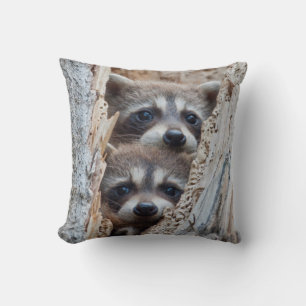 Wyoming, Lincoln County, Racoon Cushion