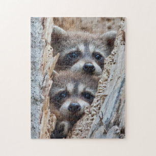 Wyoming, Lincoln County, Racoon Jigsaw Puzzle