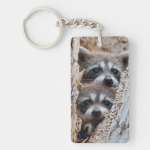 Wyoming, Lincoln County, Racoon Key Ring