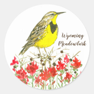 Wyoming Meadowlark Songbird Wildflowers Classic Round Sticker