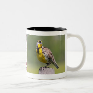 Wyoming Mug-Meadowlark Two-Tone Coffee Mug