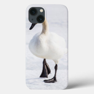 Wyoming, National Elk Refuge, Trumpeter Swan iPhone 13 Case