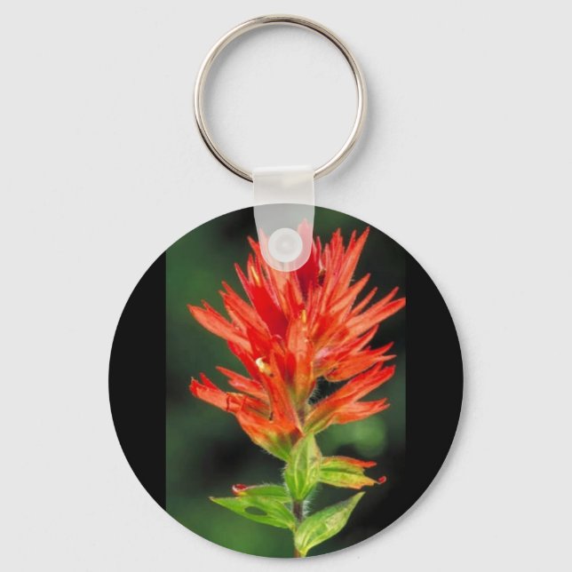 Wyoming Paintbrush Key Ring (Front)