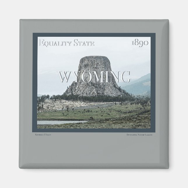 Wyoming Poster Magnet (Front)