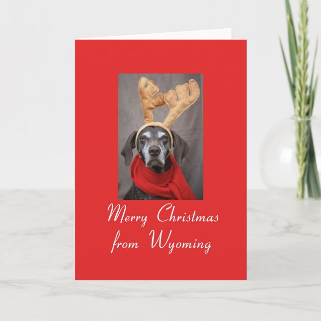 Wyoming reindeer pointer merry x-mas holiday card (Front)