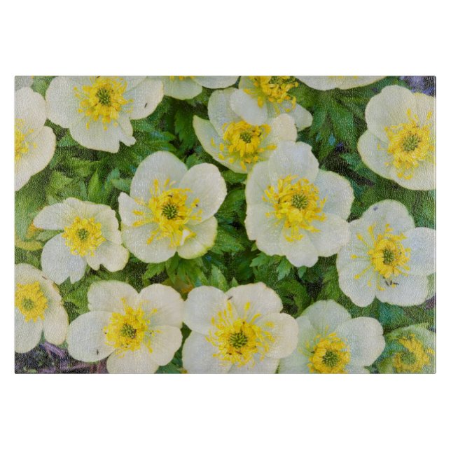 Wyoming, Sublette County, Close-up of a group Cutting Board (Front)