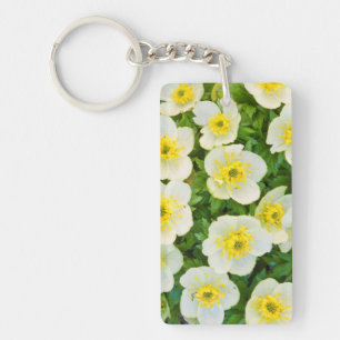 Wyoming, Sublette County, Close-up of a group Key Ring