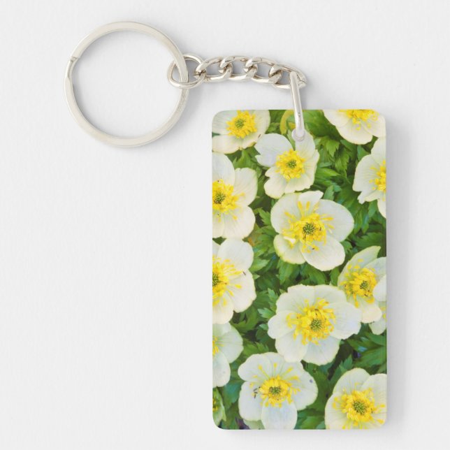 Wyoming, Sublette County, Close-up of a group Key Ring (Front)