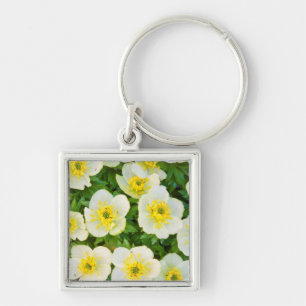 Wyoming, Sublette County, Close-up of a group Key Ring