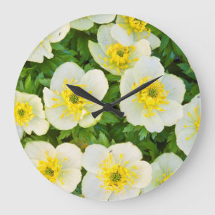 Wyoming, Sublette County, Close-up of a group Large Clock