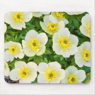 Wyoming, Sublette County, Close-up of a group Mouse Pad