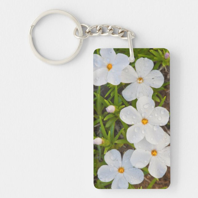 Wyoming, Sublette County, Close-up of Phlox Key Ring (Front)