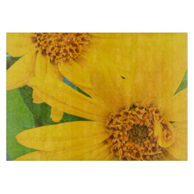 Wyoming, Sublette County, Close-up of two Arrow Cutting Board (Front)