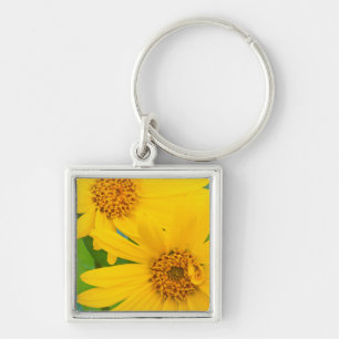 Wyoming, Sublette County, Close-up of two Arrow Key Ring