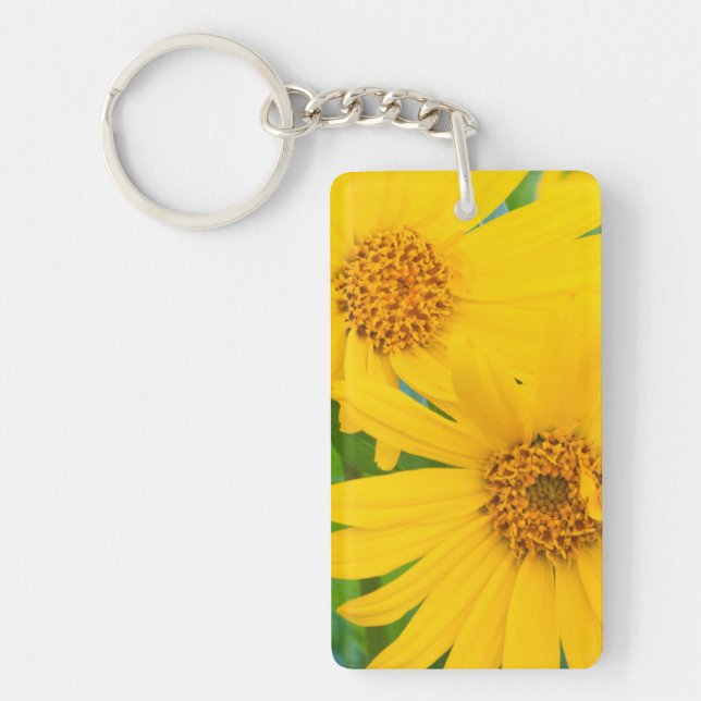 Wyoming, Sublette County, Close-up of two Arrow Key Ring (Front)
