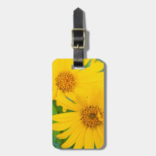 Wyoming, Sublette County, Close-up of two Arrow Luggage Tag