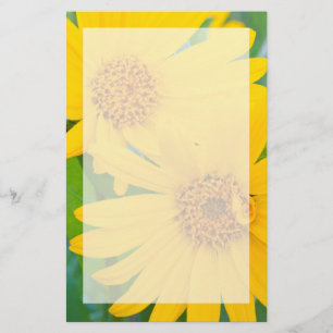 Wyoming, Sublette County, Close-up of two Arrow Stationery