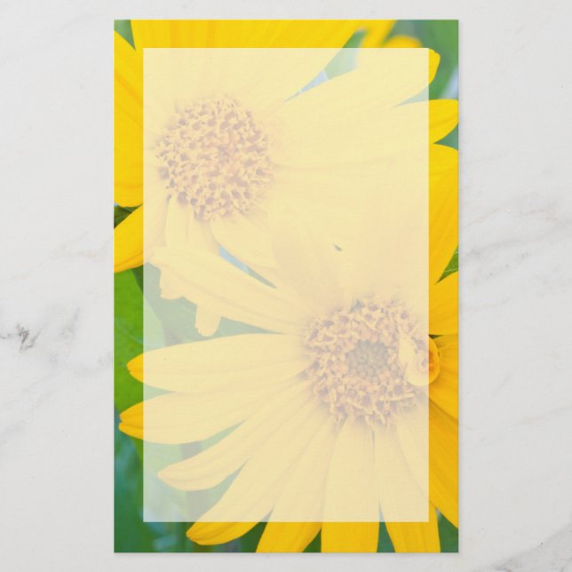 Wyoming, Sublette County, Close-up of two Arrow Stationery (Front)