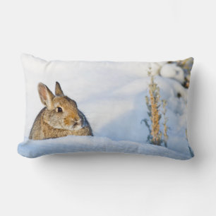 Wyoming, Sublette County, Nuttall's Cottontail Lumbar Cushion