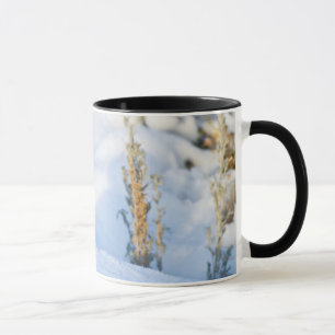 Wyoming, Sublette County, Nuttall's Cottontail Mug