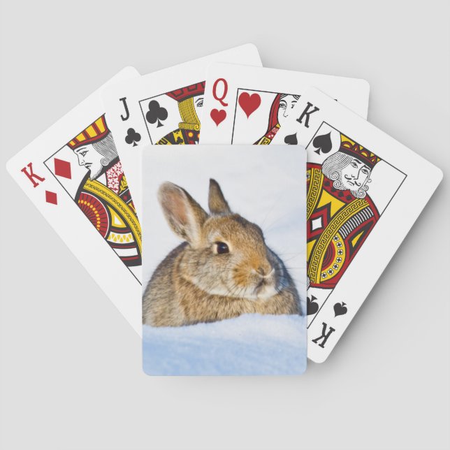 Wyoming, Sublette County, Nuttall's Cottontail Playing Cards (Back)
