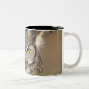 wyoming, united states of america 2 Two-Tone coffee mug