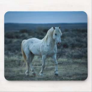wyoming, united states of america mouse pad