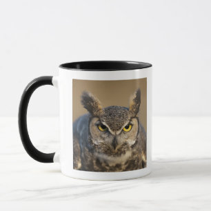 wyoming, usa mug