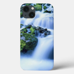 Wyoming. USA. Periodic Spring during period of iPhone 13 Case