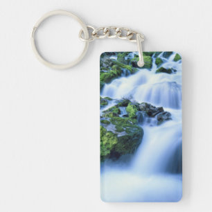 Wyoming. USA. Periodic Spring during period of Key Ring