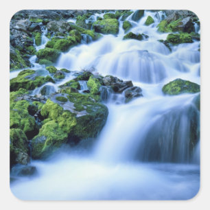 Wyoming. USA. Periodic Spring during period of Square Sticker