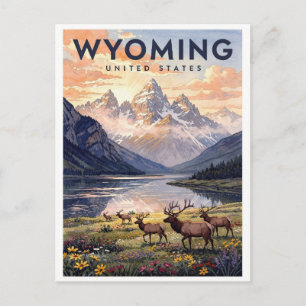 Wyoming USA Vintage Travel Postcard