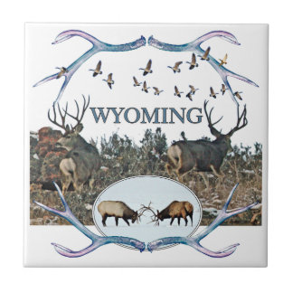 WYOMING wildlife Ceramic Tile
