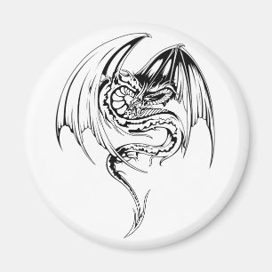 Wyvern Dragon Are Fantasy Mythical Creatures Magnet