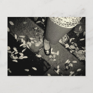 x foot postcard