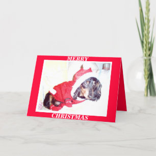 X MAS CHRISTMAS CARDS - HEIDI PUP - DASCHUND MINI