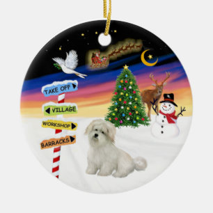 X Mas Signs- Coton de Tulear Ceramic Tree Decoration