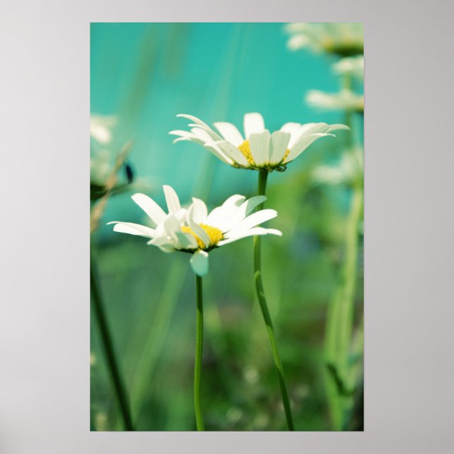 x-posed 01 poster (Front)