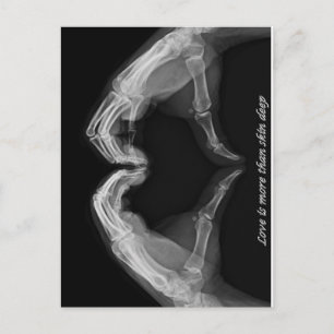 X-Ray Art Postcard