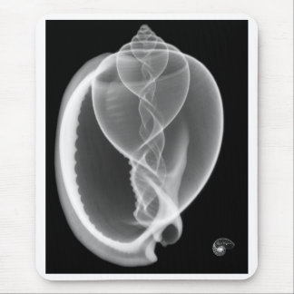 X-ray bonnet seashell mouse pad